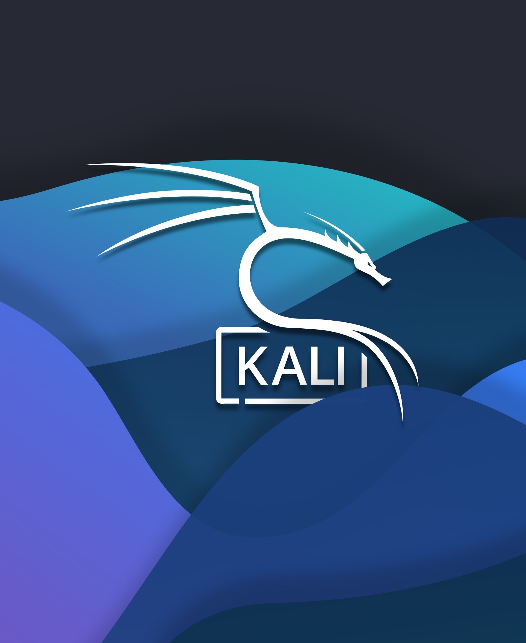 Hacking with Kali Linux